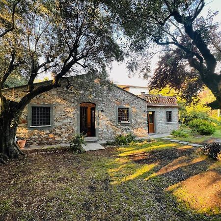 La Casina Di Susy Villa Seravezza Kültér fotó