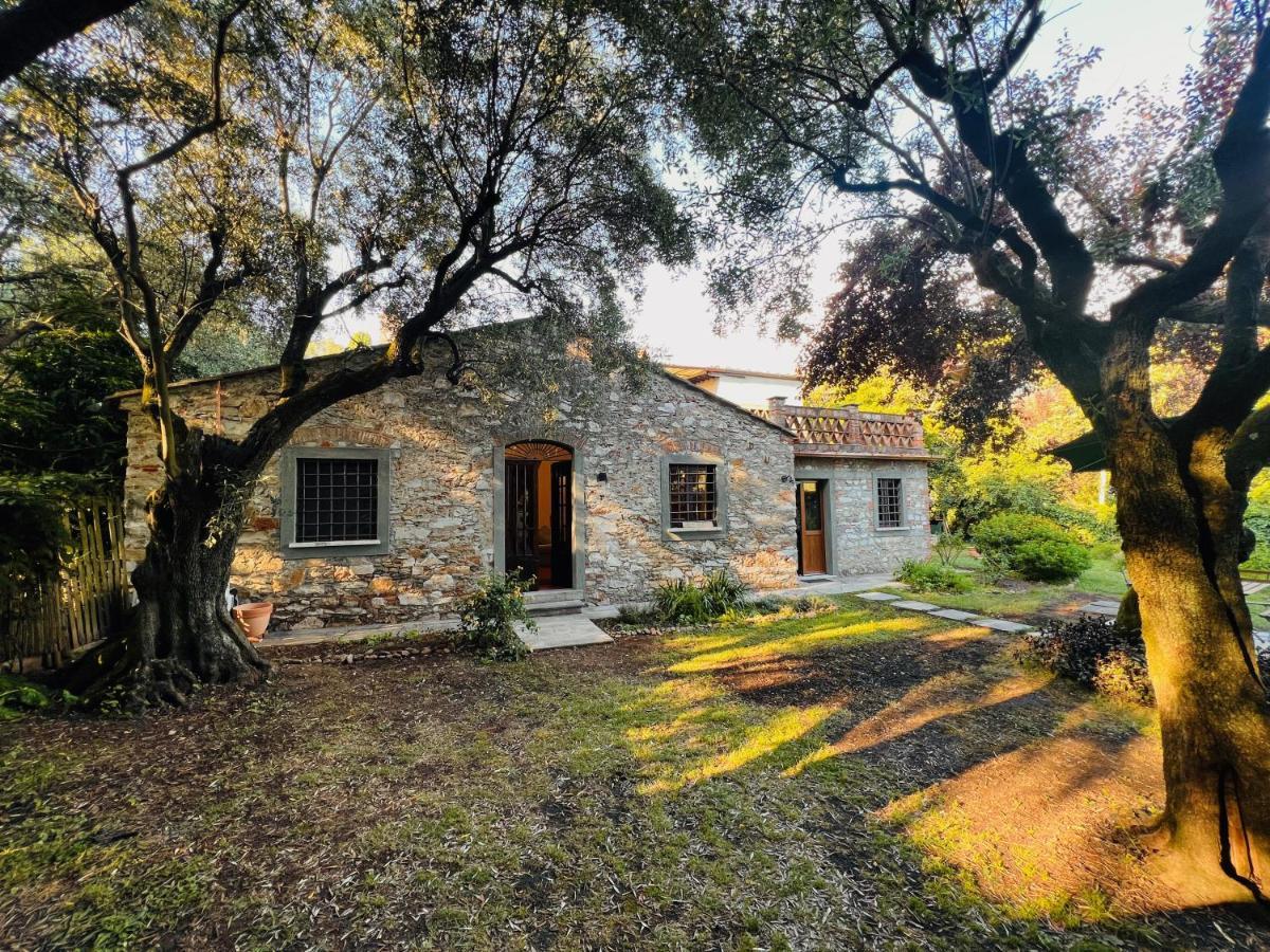 La Casina Di Susy Villa Seravezza Kültér fotó
